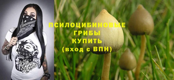 дурь Абинск