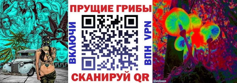 где купить наркоту  ссылка на мегу tor  Галлюциногенные грибы ЛСД  Шебекино 